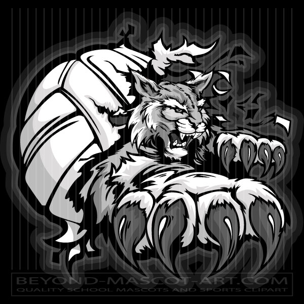 Wildcat Clawing Volleyball