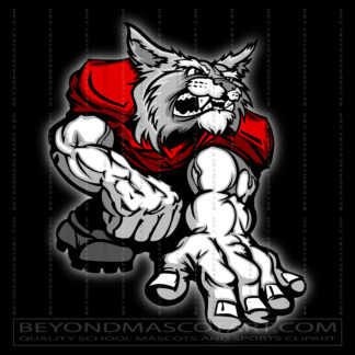 Vector Wildcats Football